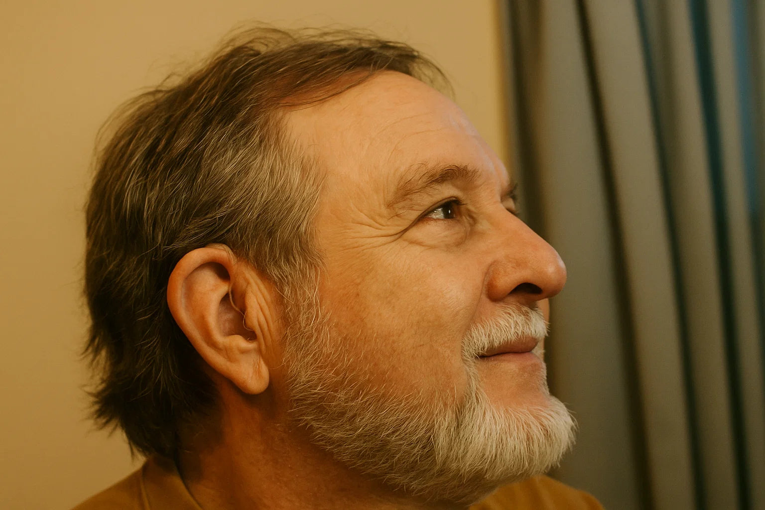 Alt Image